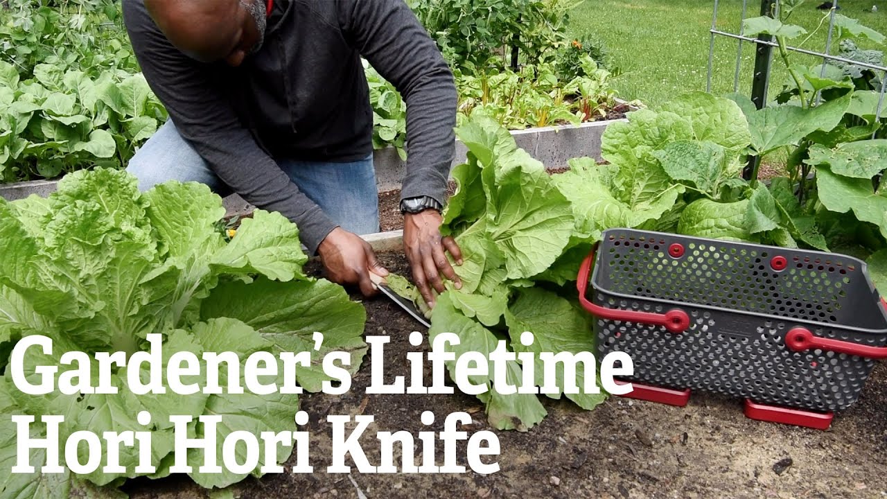 Gardener’s Lifetime Hori Hori Knife