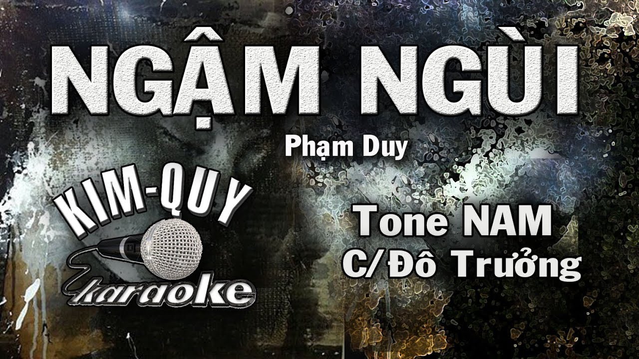 NGẬM NGÙI - KARAOKE - Tone NAM ( C/Đô Trưởng )