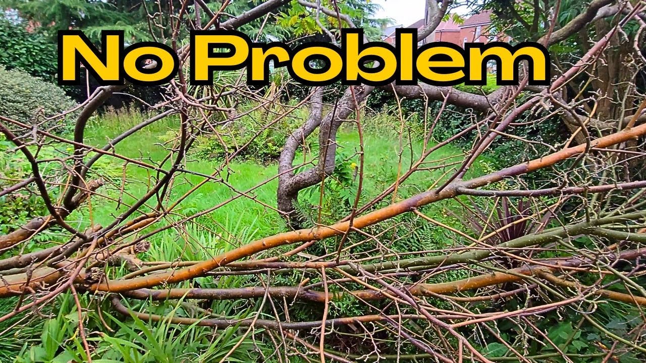 Young Couple Needed Help In OVERGROWN Garden | CLEAN UP | Garden Rescue | YARD TRANSFORMATION