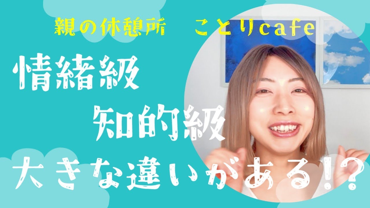 知的級・情緒級　大きな違いがある？各々支援級の特徴について