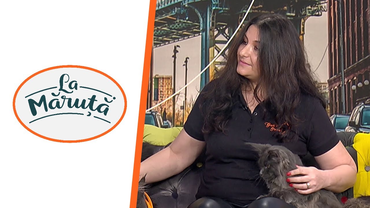 Gina Vlad, o viață dedicată pisicilor uriașe