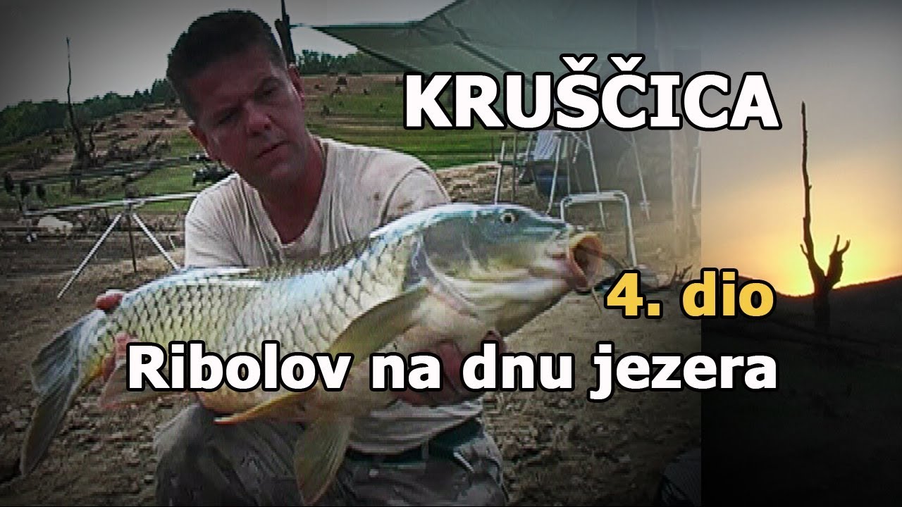 Šaranolov na paklenom, isušenom blatu - Zlatni divljaci jezera Krušćica E-4/5 / VSP Igor Pavičić
