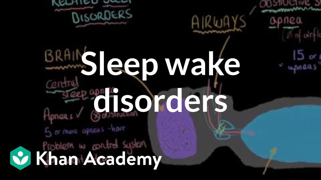 Sleep wake disorders breathing related sleep disorders | Behavior | MCAT | Khan Academy