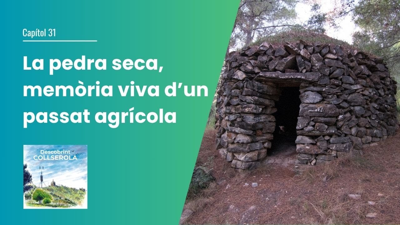 31. La pedra seca, memòria viva d'un passat agrícola