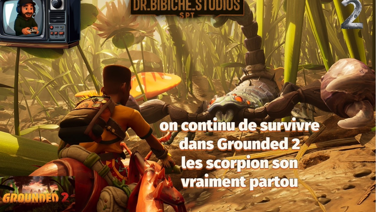 quel enfer se monde les insecte son partou