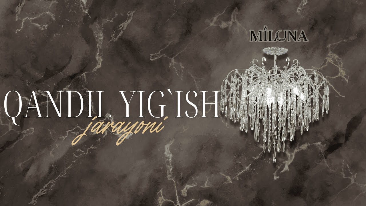 LYUSTRALARNI MUTAHASISLAR KABI  YIG'ISH SIRLARI!