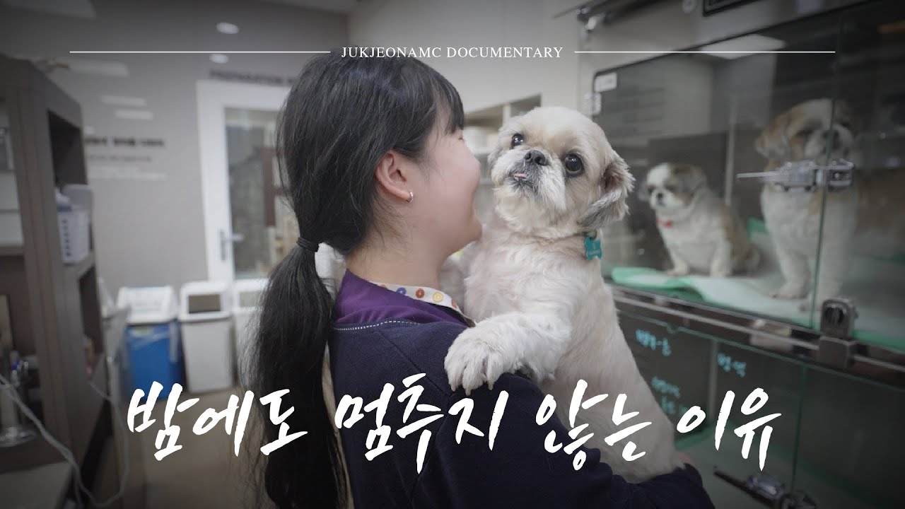 [다큐] 반려가족의 하루를 끝까지 함께하는 사람들 #2부 #죽전동물메디컬센터