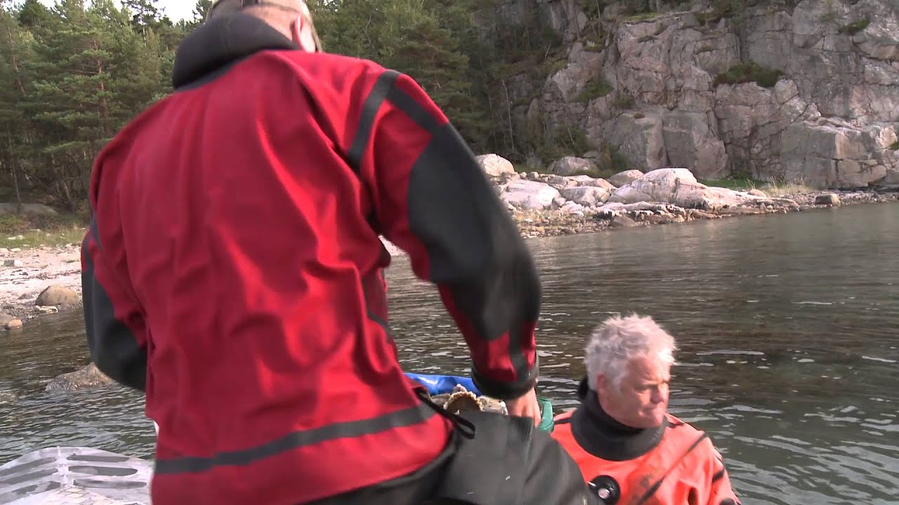 Ostron - Havets delikatess