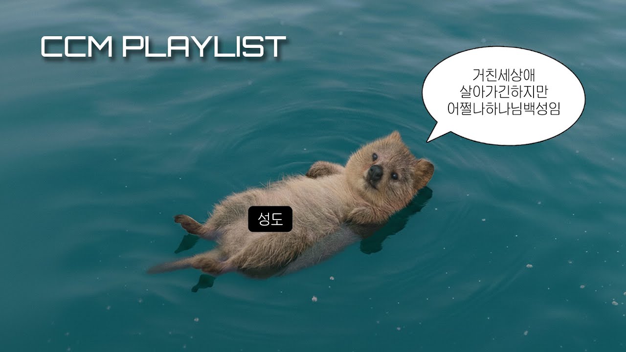 [CCM Playlist] 나는 능이 .... 백숙이다😞 주님은 능히 하실수있다💪🏻 바닥난 자존감 바로 회복되는 플레이리스트🌟🎵 I 마음이 꺾였을 때 들어야하는 찬양 모음🎧