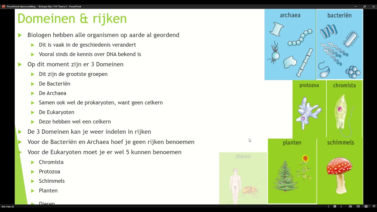 Klas 1 H V Thema 3 Ordening Basisstof 1