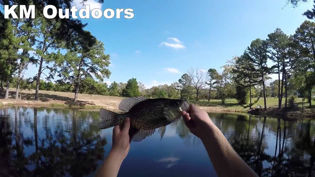 Slab Crappie on MouseTails!