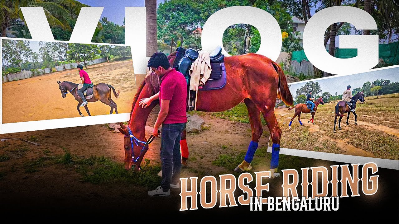 Horse Riding Adventure in Bangalore 🐎 | Weekend Vlog in India | Hidden Spot You Must Visit!