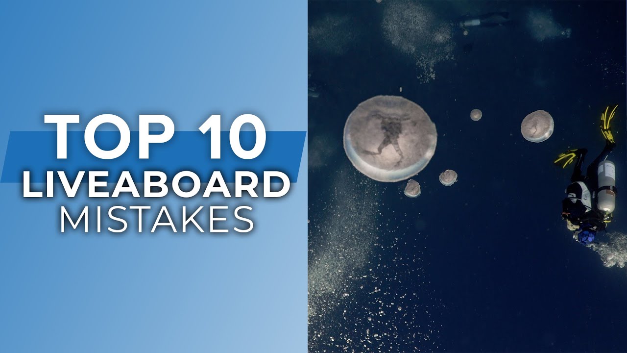 Top 10 Liveaboard Mistakes and How to Avoid Them W/ @Explorer Ventures Liveaboard Diving Fleet®