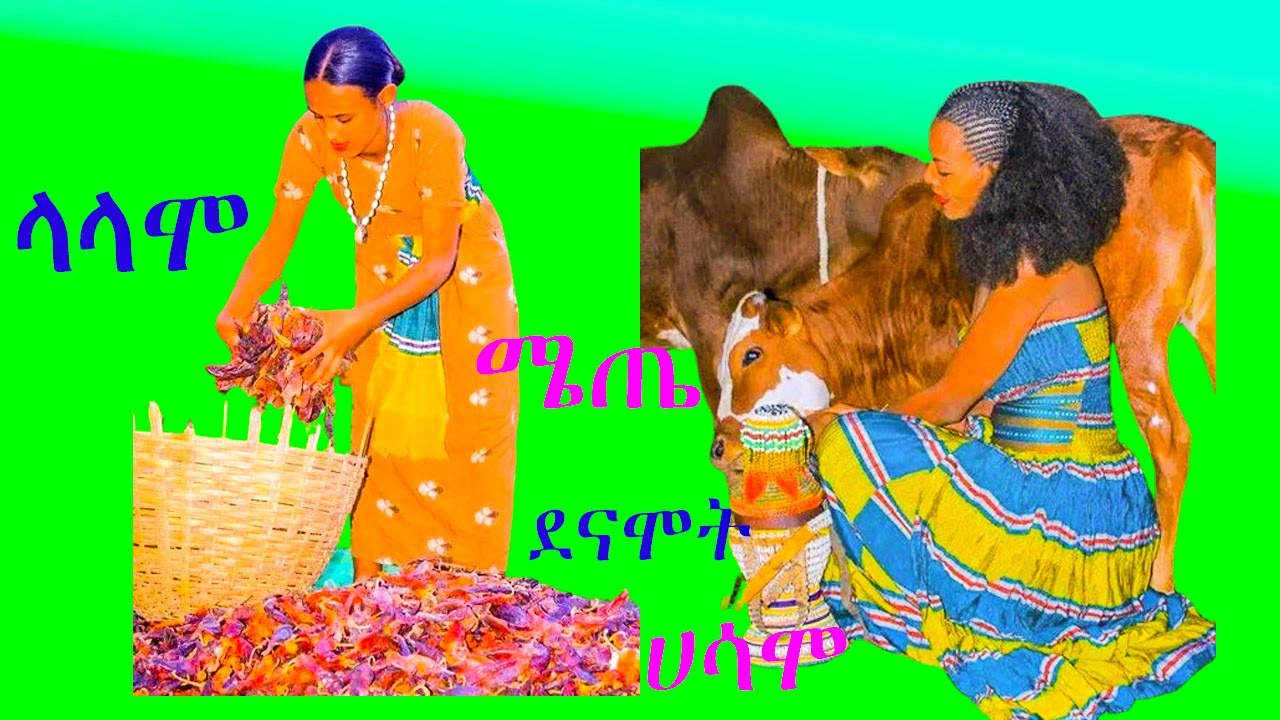 #ኑሪ ሊሬ ላላሞ ሜጤ ደናሞት ሀሳሞ Best Music  ❤️❤️❤️❤️!