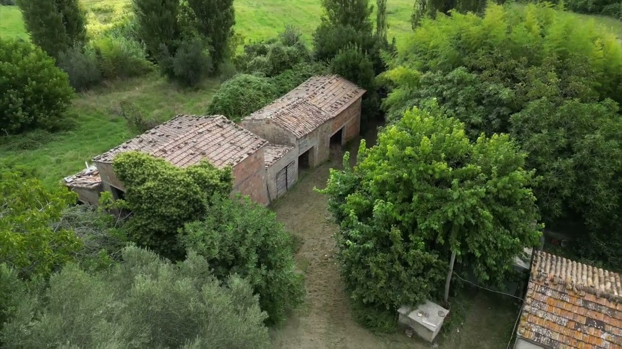 🏡 CASOLARE DA RISTRUTTURARE IMMERSO NEL VERDE – CASTELLARO, SERRA SAN QUIRICO (AN) - RE-MAX AEQUITAS