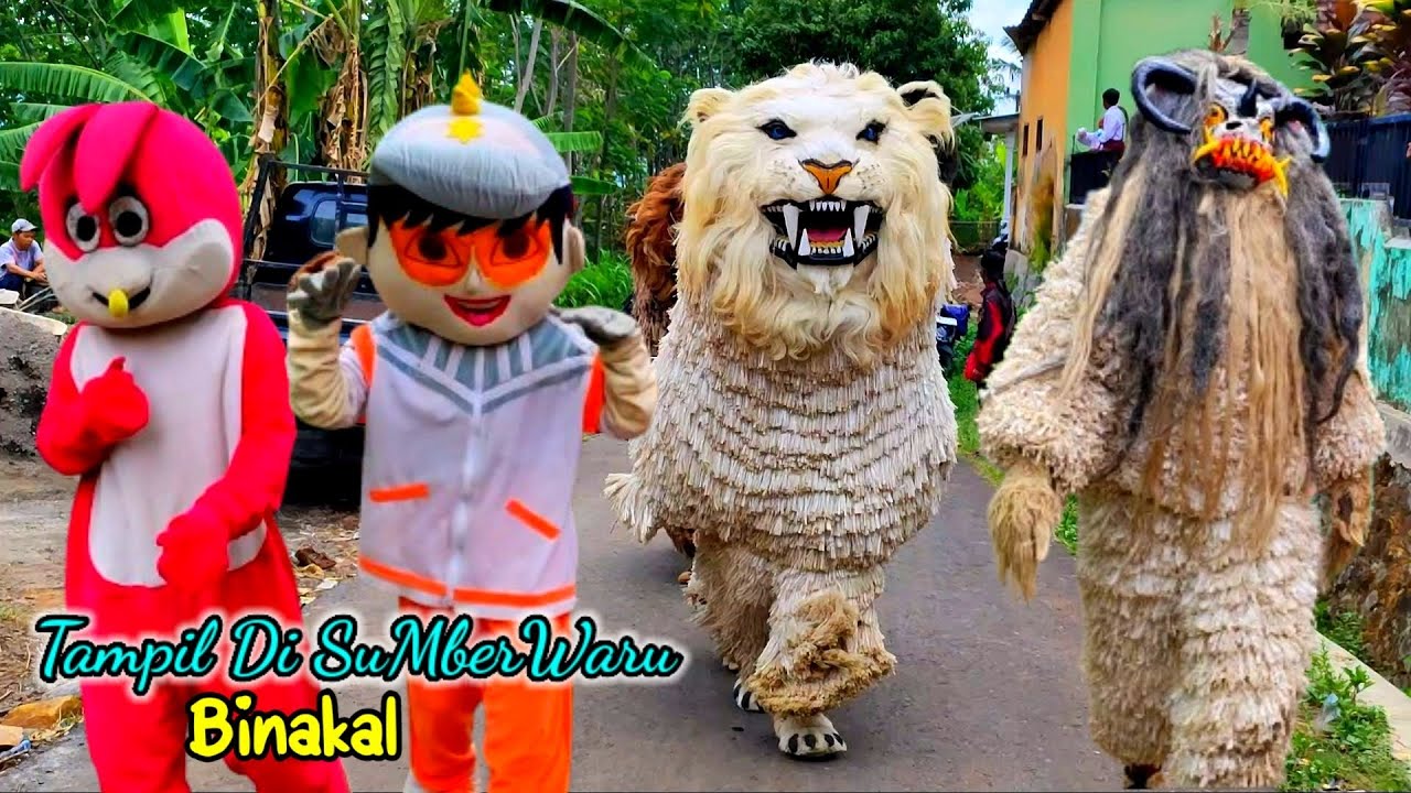 Can macanan Singo raung cilik Di undang acara PERNIKAHAN Tampil Di desa SUMBERWARU Binakal