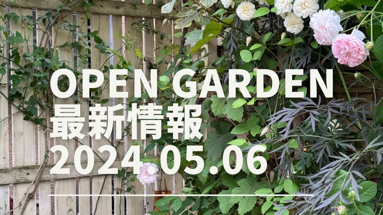 OPEN GARDEN最新情報 やっぱりマニアなお宝探しになっちゃう