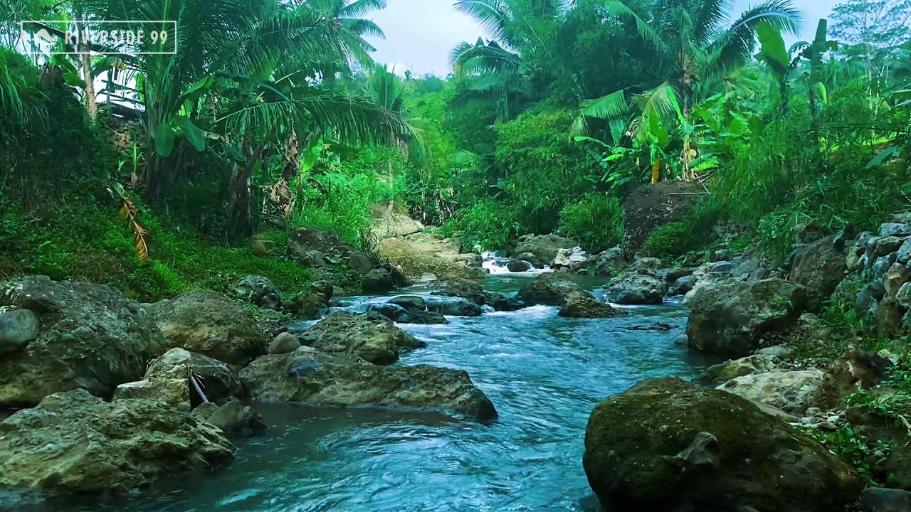 Mountain River Flowing Sounds 24/7 for Sleeping | Nature Water Sounds White Noise for Relaxation #3