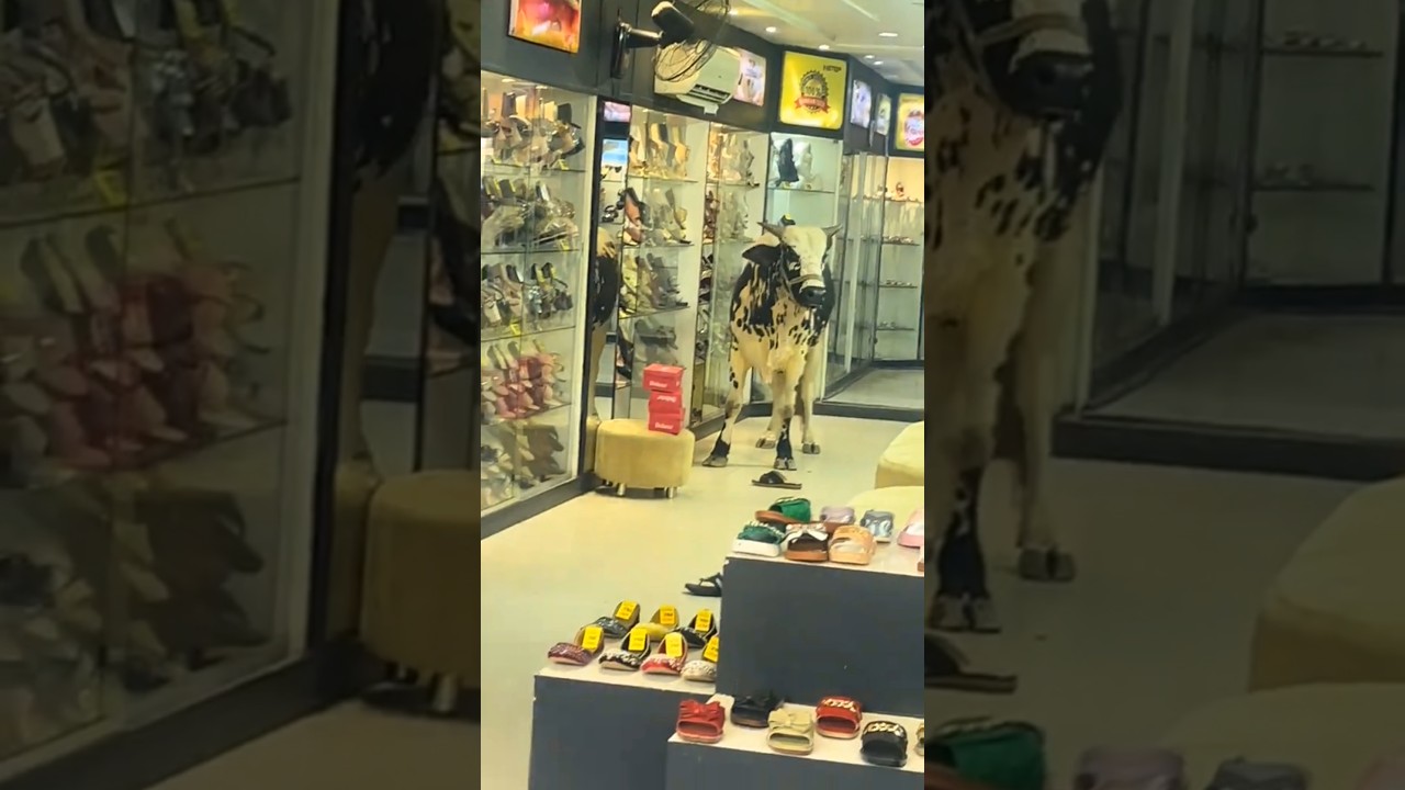 Eid ki shopping 
