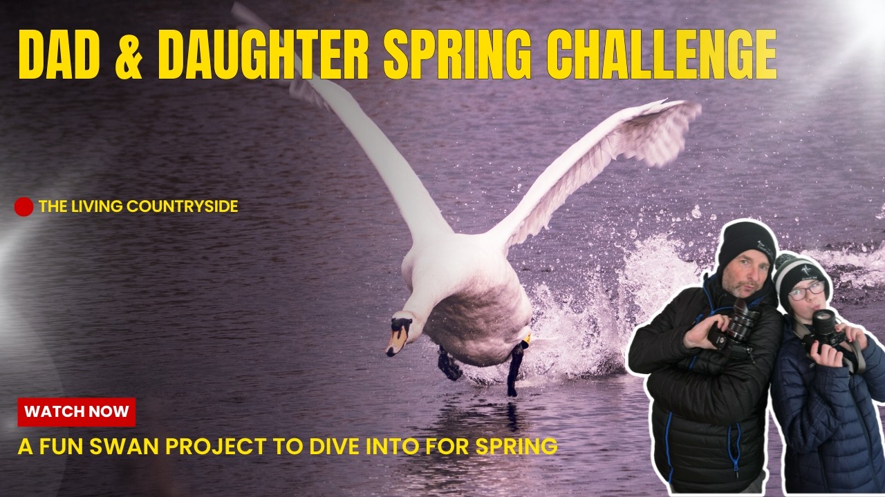 Dad & Daugther Spring wildlife photography project. A fun Swan challenge for nesting season.