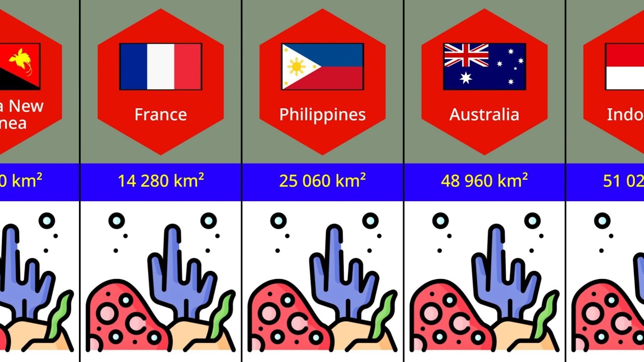 Countries With The Most Coral Reef Area