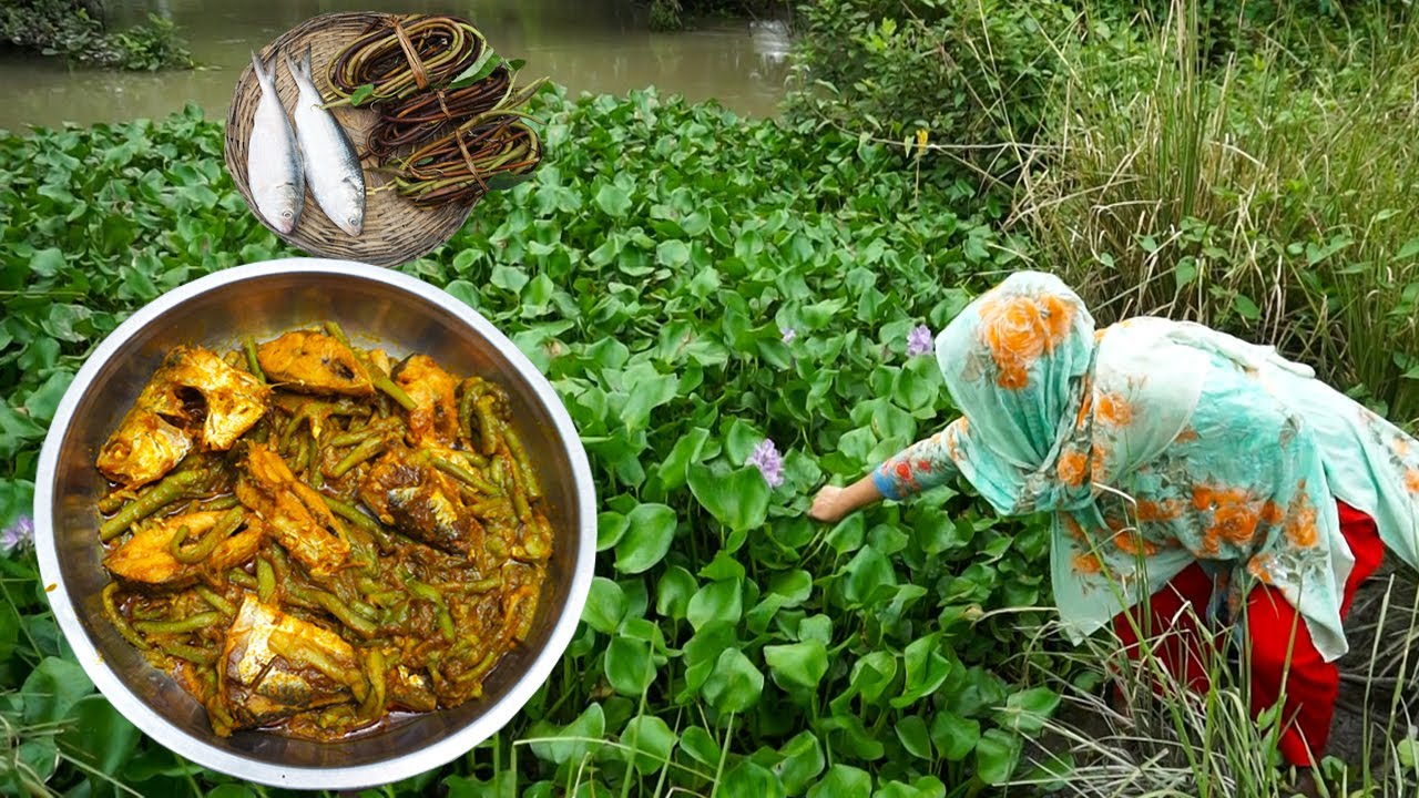 খাল কুলের লতি আর তেতুলিয়ার ইলিশ গরম ভাতে লাগছে বেশ | BSL Daily Life