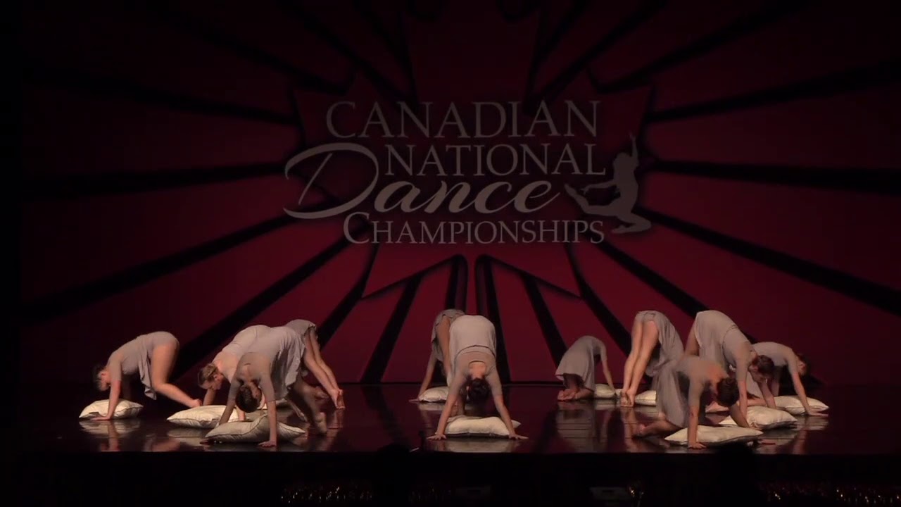 INSOMNIA Contemporary Group