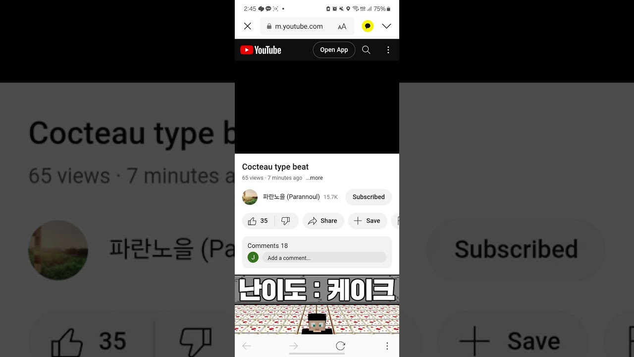 파란노을 (Parannoul) - Cocteau type beat (re-upload)