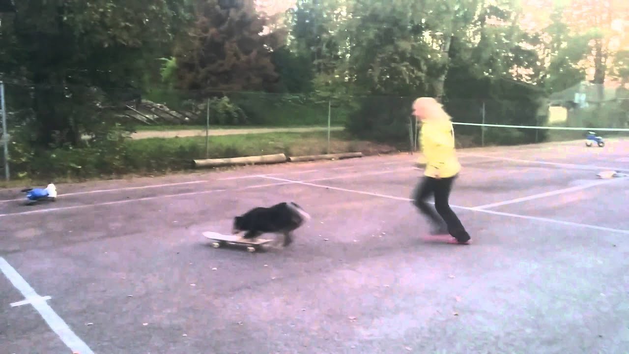 Kaija skeittaa