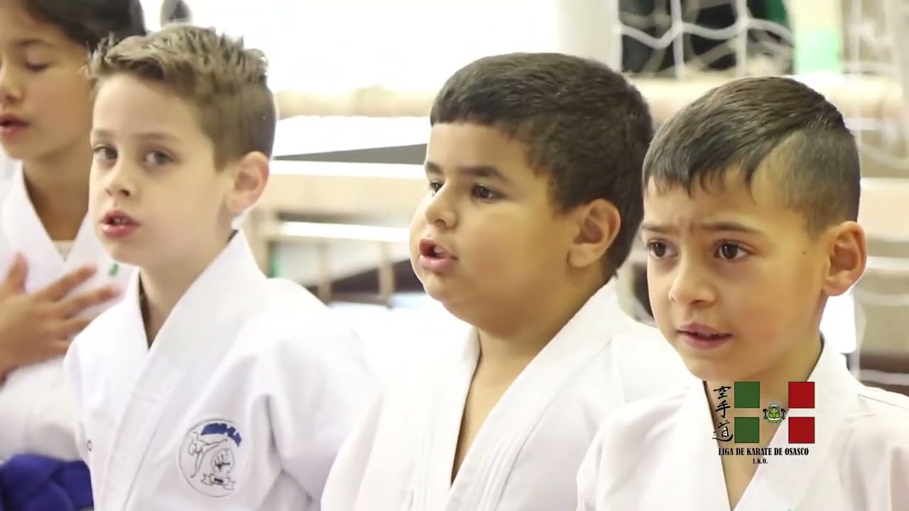 Festival de Karate Paulistano  - KarateOsasco - Liga de Karate de Osasco