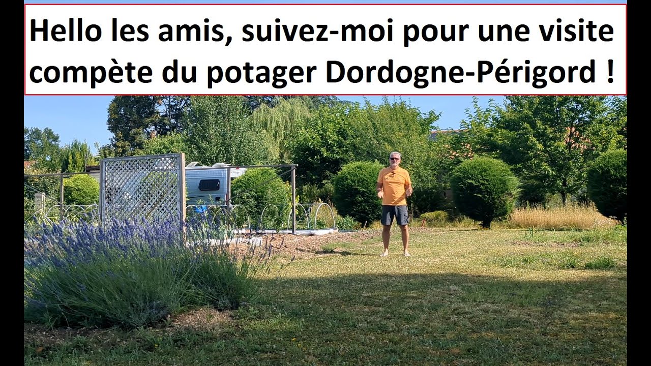 Grand tour du potager fin juin 2025 : tomates-melons-aubergines-poivrons-courgettes-etc...