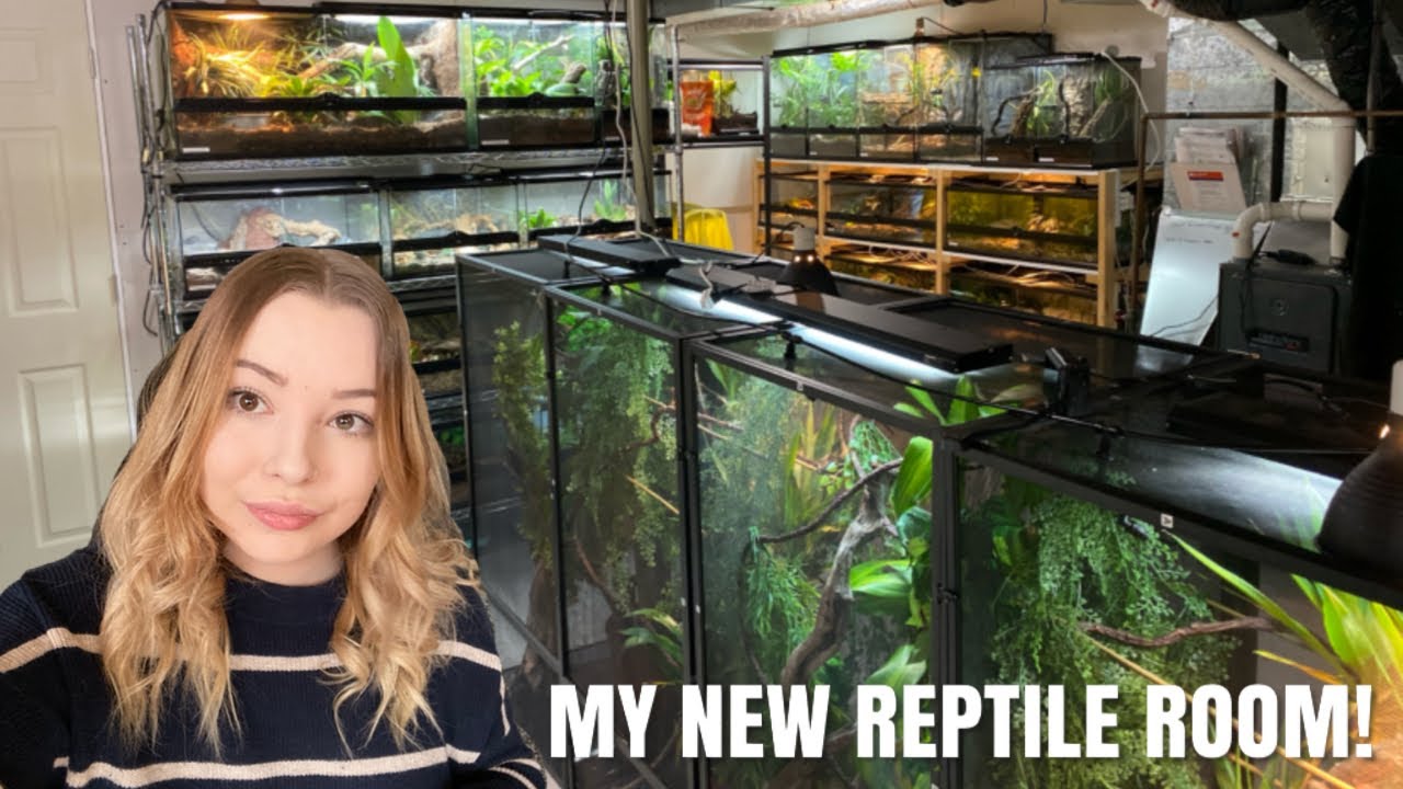 My NEW Awesome Pet Room Tour! Room Tour + 40 Animals!