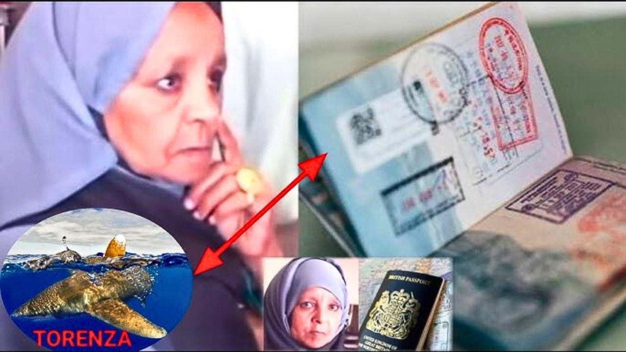 😱 Une femme arrive &agrave; l&rsquo;a&eacute;roport avec un passeport d&rsquo;un pays inconnu&hellip; | Le myst&egrave;re de Torenza