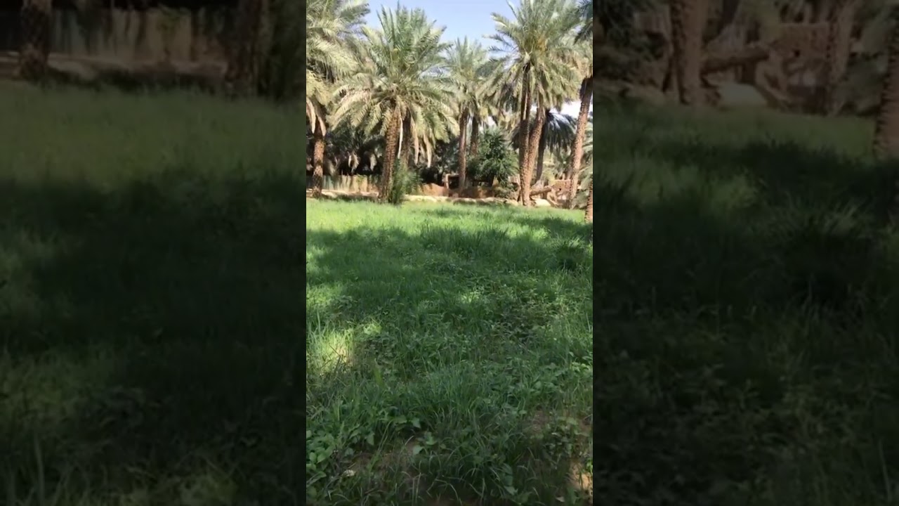 رحلة الى الرياض قبل سنة جبار