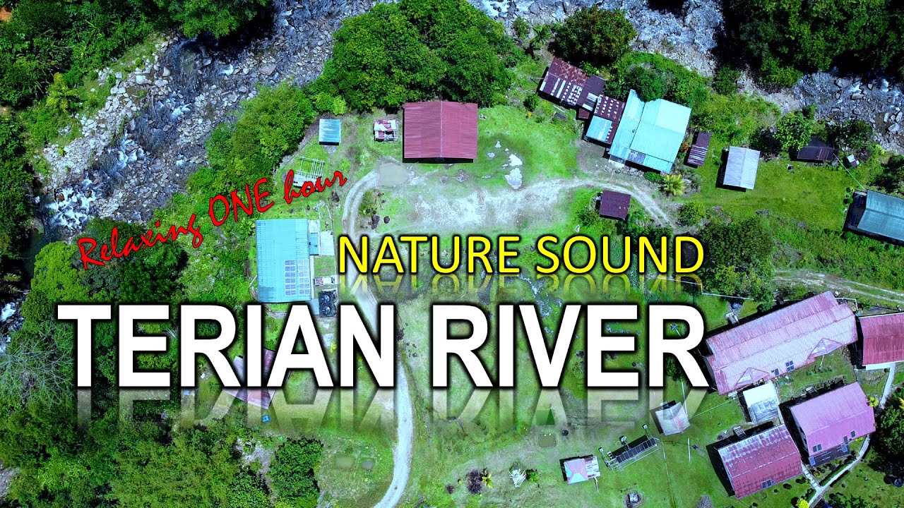 #Nature Relaxing Sound 001 Terian River