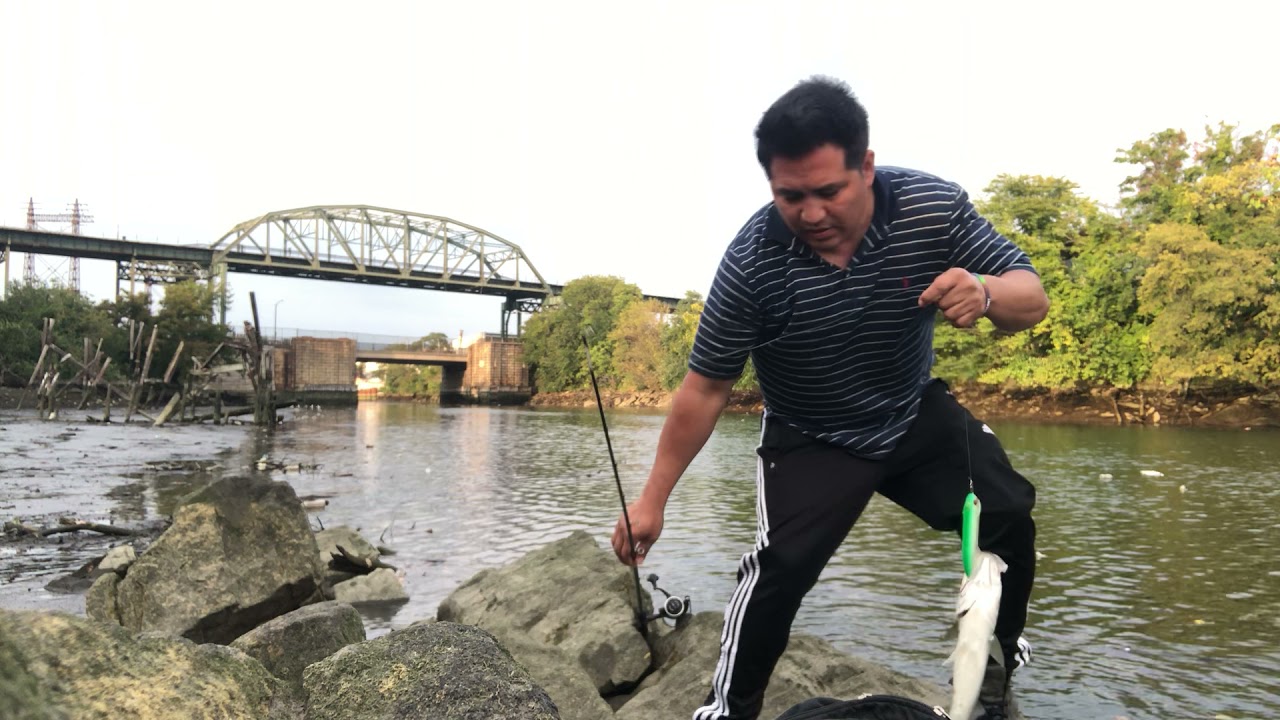 🎣Pesca en el Bronx river nueva York 🎣pescando con señuelos duros 🔥🔥🎣🎣lo mejor para relajar 😇