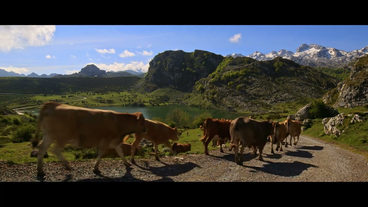 Cangas de Onís Fitur 2023 - El reino de los pastores