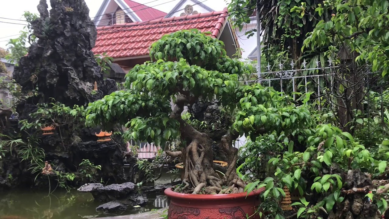 Vướng Xanh nghệ nhân Lê sơn Hải Phòng