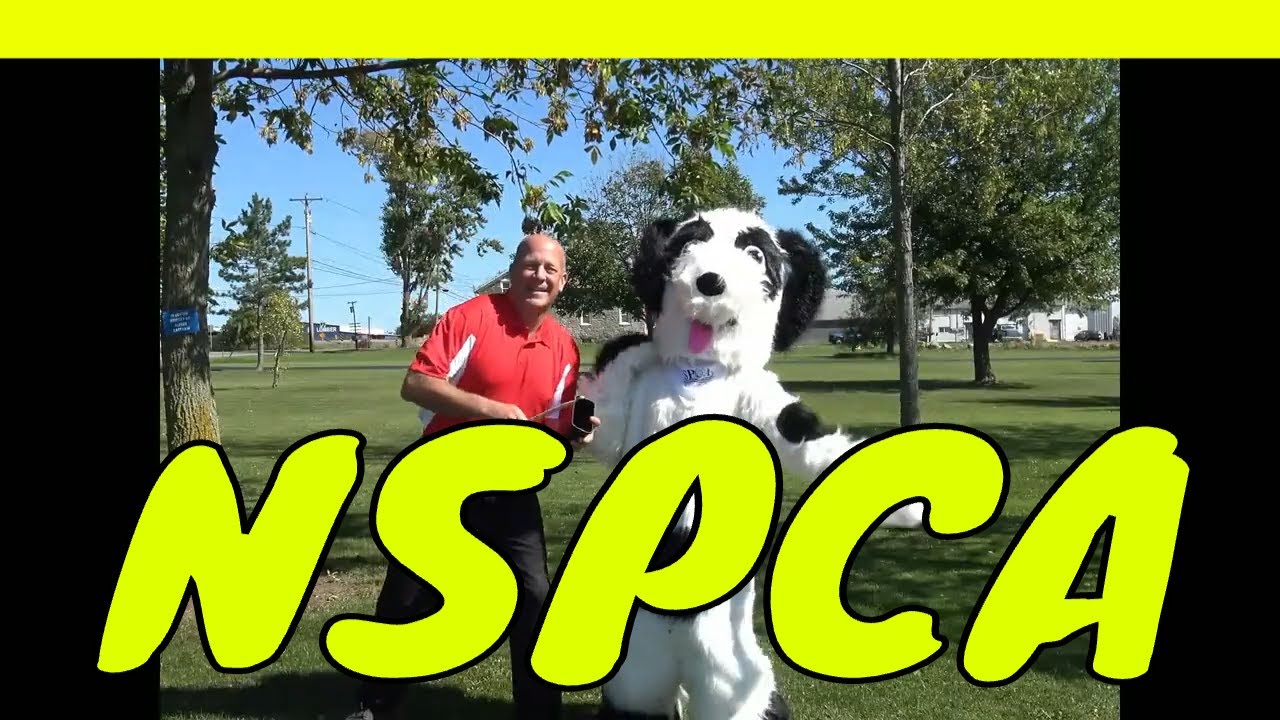 NSPCA - The Niagara County SPCA Song & Video, by Glenn Colton & Rich Derwald