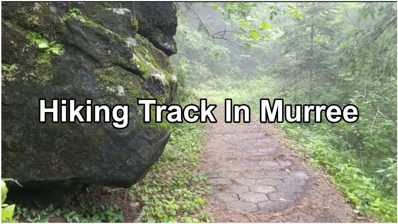 Murree Hiking Track | Jhika Gali Hiking Track to GPO MallRoad and Kashmir Point