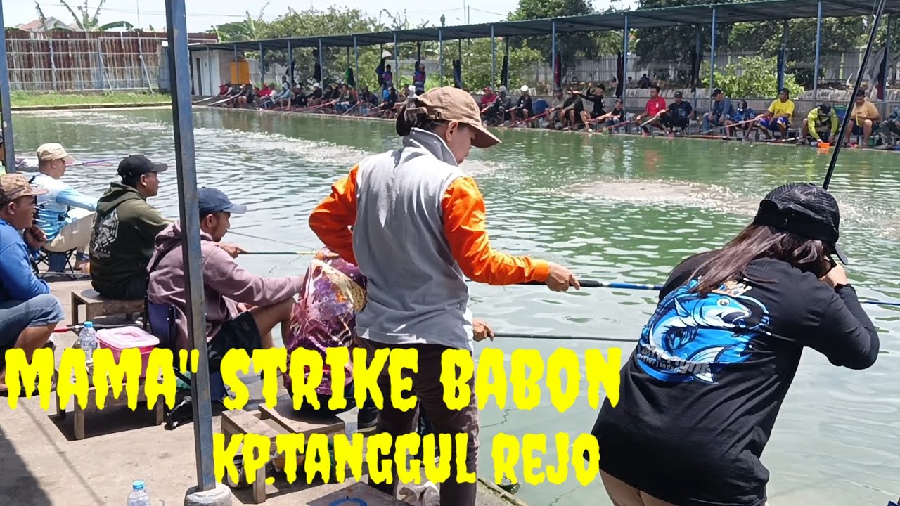 SESION 2 DAN 3 LOMBA MANCING LELE KOLAM TANGGUL REJO 01 FEB 2026