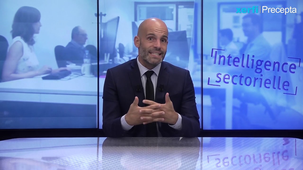 Les défis et opportunités des cabinets de conseil en stratégie et en management [Philippe Gattet]