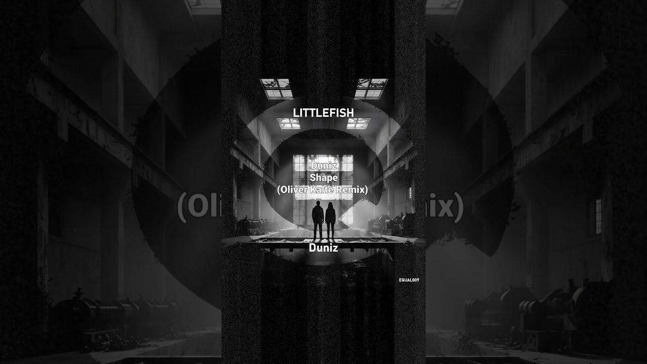 Minimal Raw Techno – Duniz Shape (Oliver Kalte Remix)