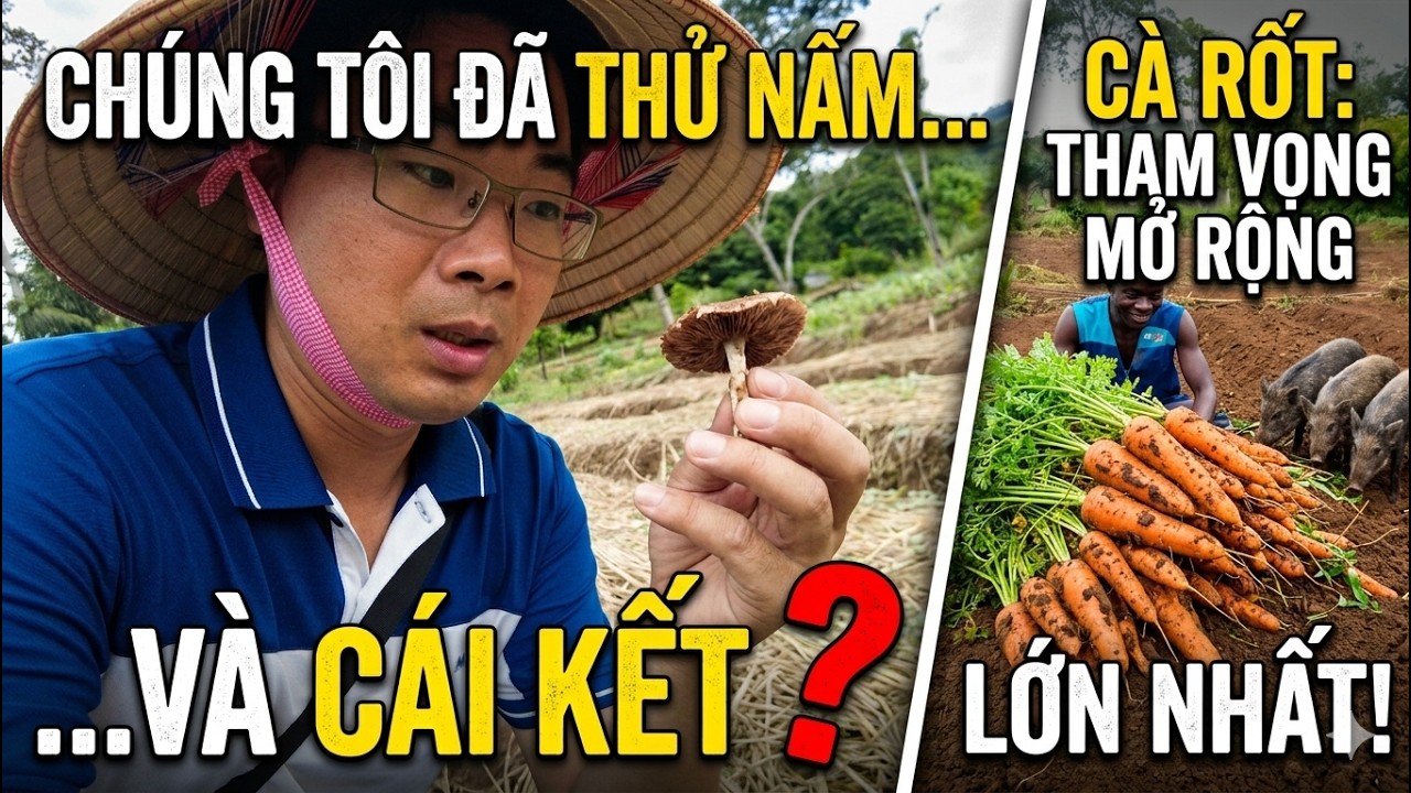 Sau vụ thử nấm n&agrave;y c&oacute; c&ograve;n ăn nữa kh&ocirc;ng?||Antonio Maria t&iacute;ch cực gieo c&agrave; rốt||2Q vlogs