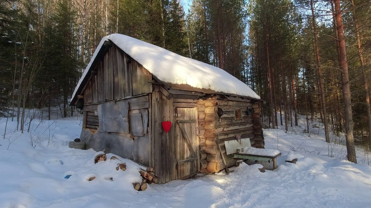 С ЛЕОНТЬЕВИЧЕМ в ТАЙГУ. С нами ЖОРИК, УМКА, АНДРЕЙ ЧЁРНАЯ РУКА и дядя ВАНЯ. Часть вторая.