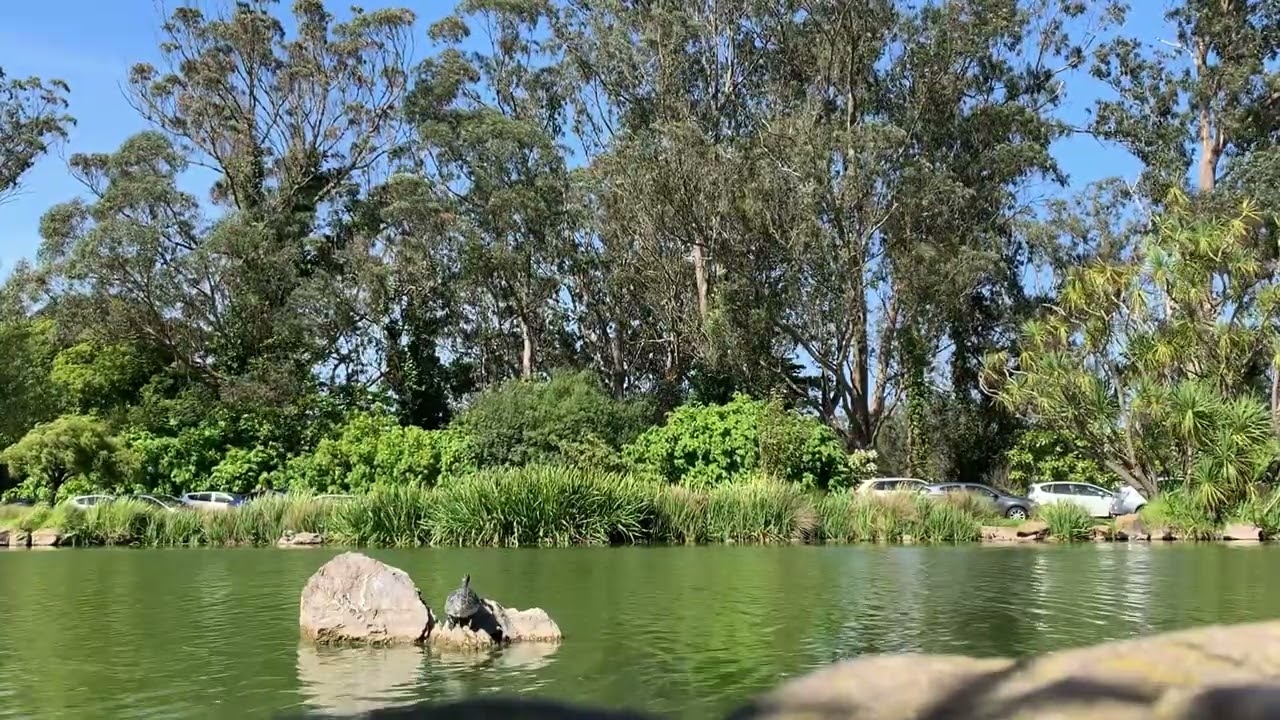 5 Minute Video Where Nothing Happens #7