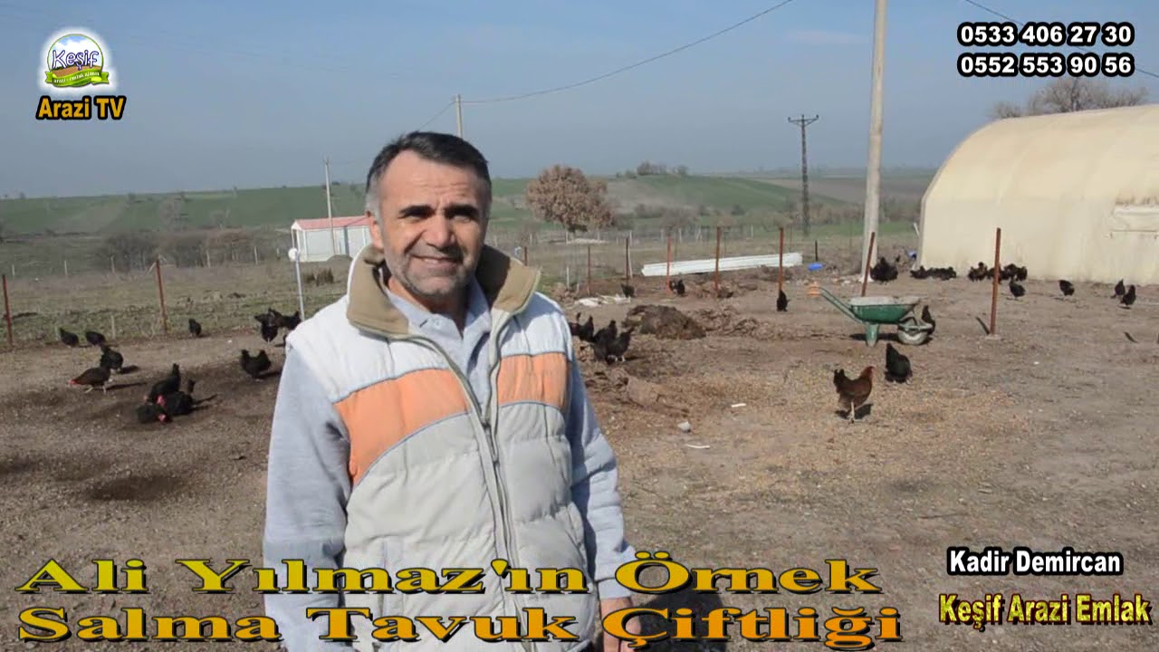 &Ouml;rnek Salma Tavuk Yetiştiriciliği
