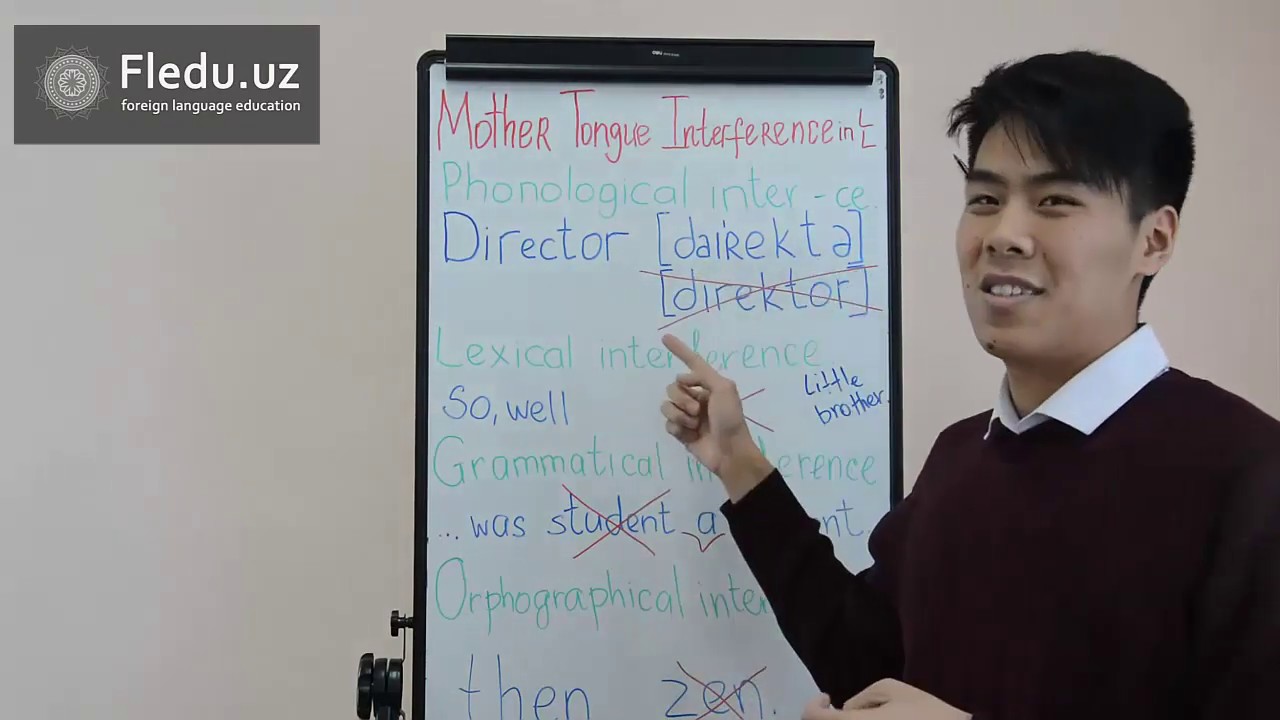 Mother Tongue Interference in Language Learning