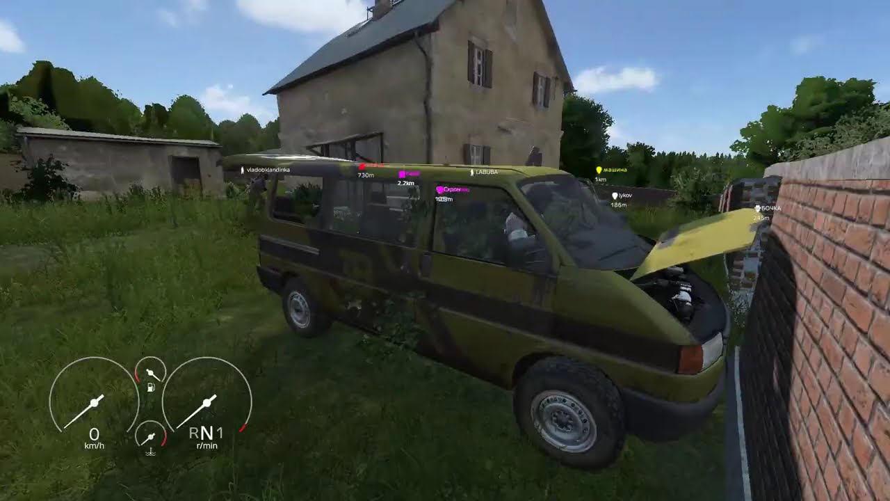 Dayz