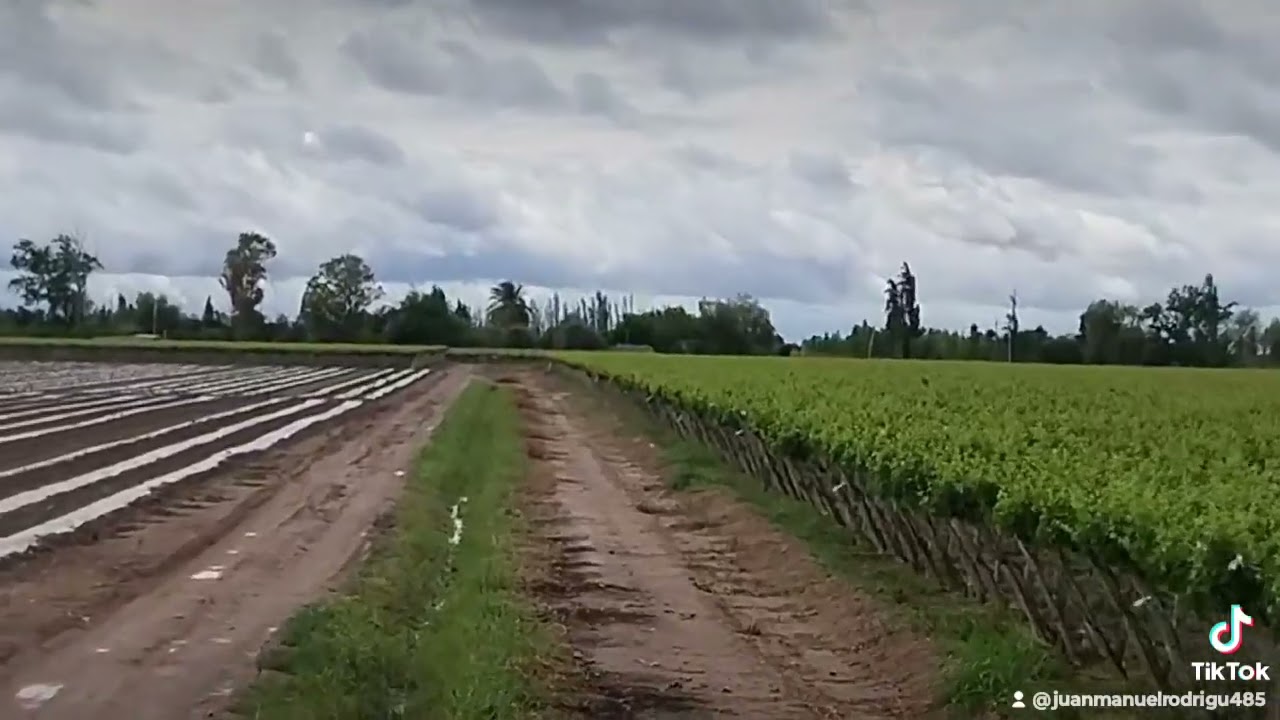 ROTUR División Agro - Quinto Cuartel-Pocito - San Juan